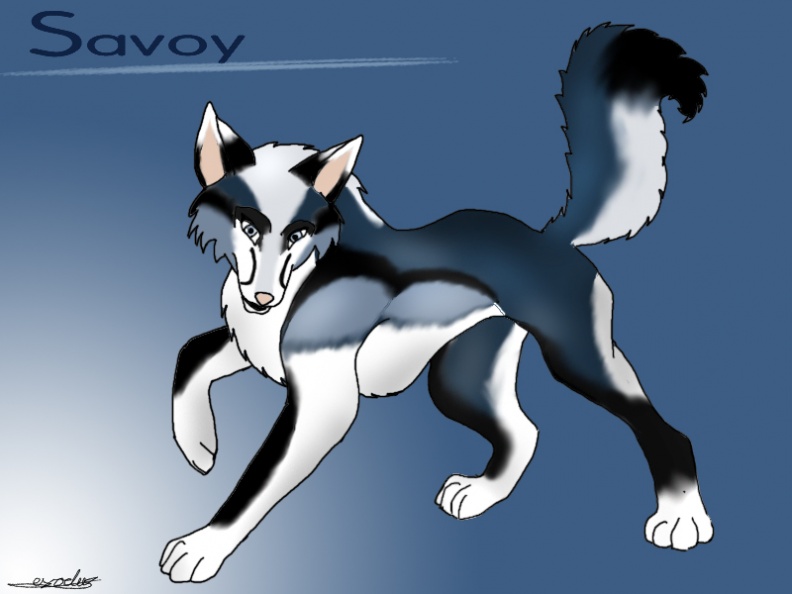 Savoy by Exodus 1161