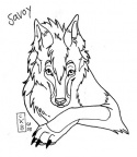 Savoy by Katara Sketch