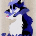 Savoy by Mariya-mimi-fox 1