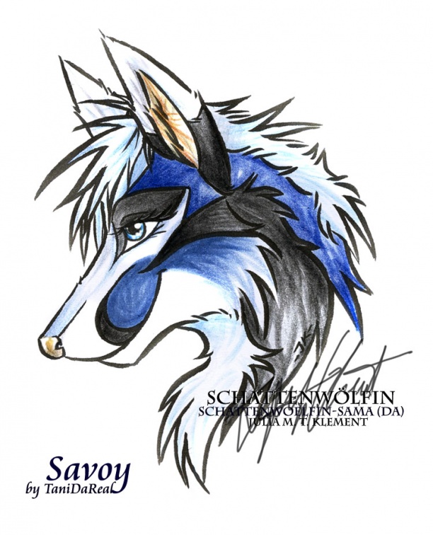 Savoy by Schattenwoelfin Sama