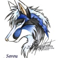 Savoy by Schattenwoelfin Sama