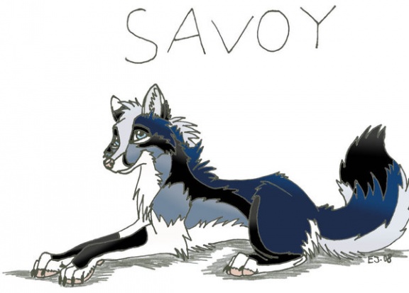 Savoy by Windwolf13 2